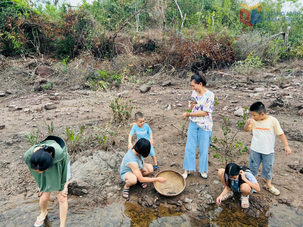 Du khách tham gia trải nghiệm tại Khe Mai Farm.