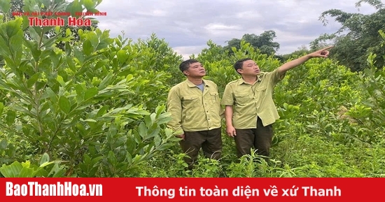 Trạm trưởng 20 năm thầm lặng giữ rừng