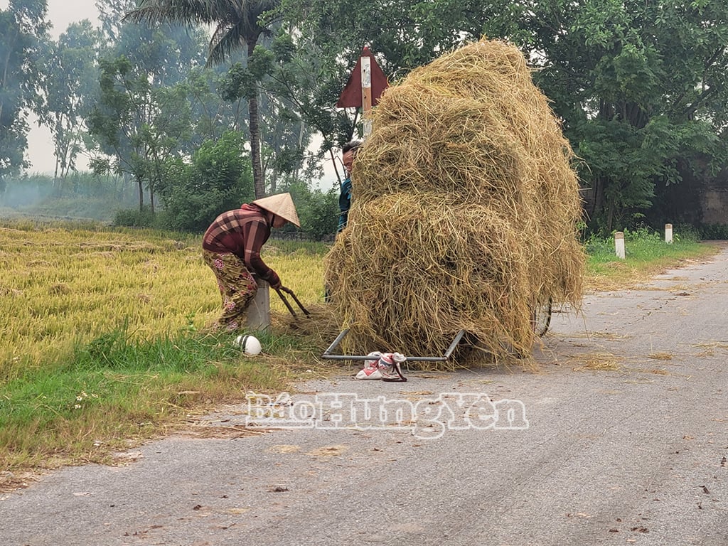 Lượng rơm rạ được thu gom còn ít và thủ công