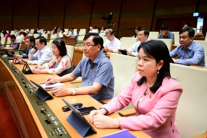 Proposal to introduce digital skills education and high-tech fraud prevention into schools - Photo 2.