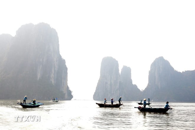 ttxvn-lam-sach-vinh-ha-long-7597151.jpg
