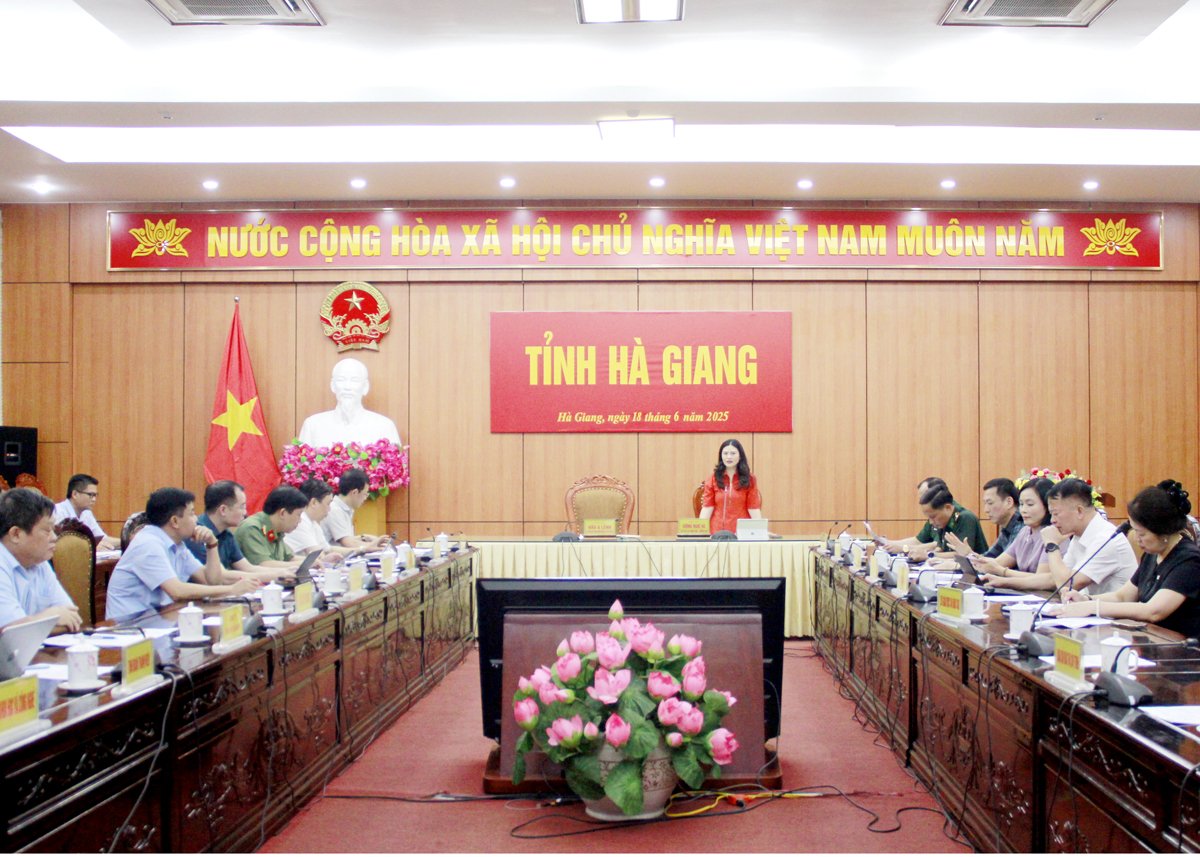 Các đại biểu dự cuộc họp.
