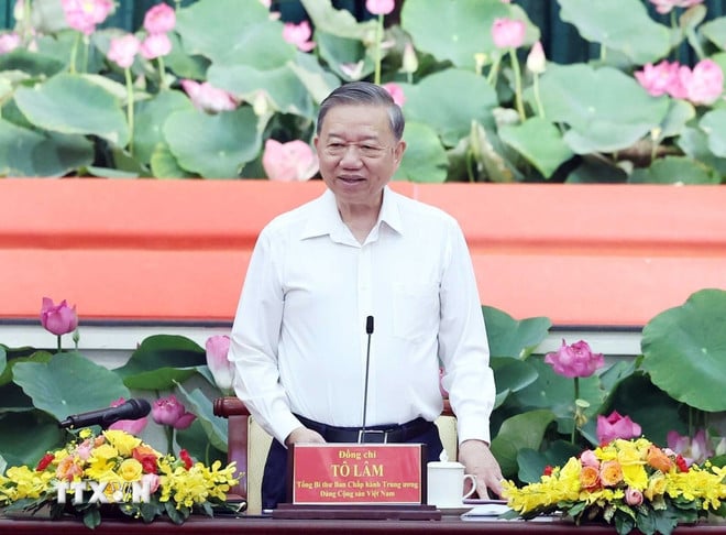 ttxvn-tong-bi-thu-lam-viec-voi-ban-thuong-vu-thanh-uy-tp-ho-chi-minh-tinh-uy-ba-ria-vung-tau-binh-duong-1806-2.jpg