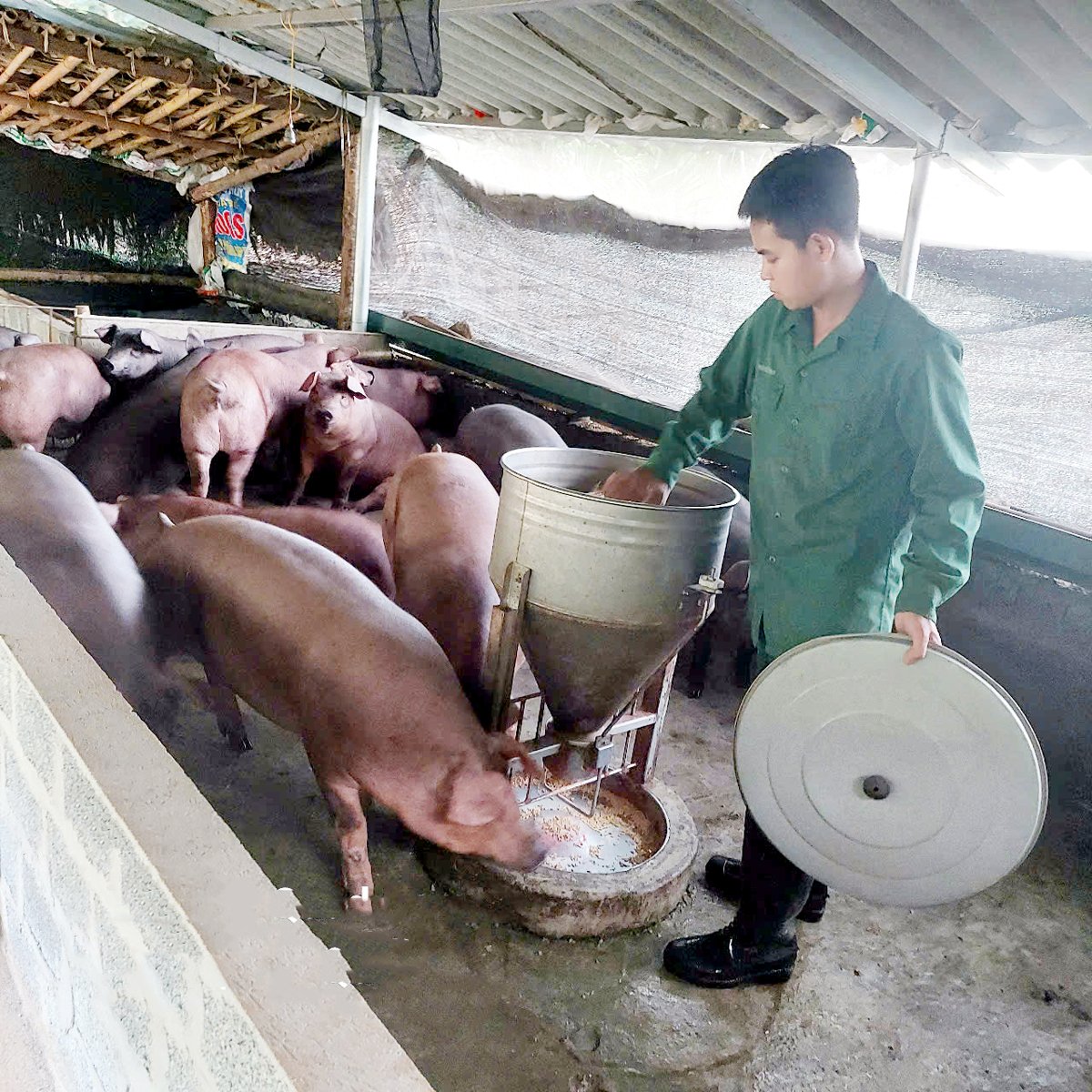 Anh Huấn Đức Minh, thôn Khuôn Làng, xã Tùng Bá (Vị Xuyên) với mô hình chăn nuôi tổng hợp cho thu nhập trên 150 triệu đồng/năm.