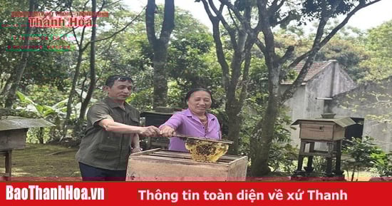 Phát triển nghề nuôi ong mật