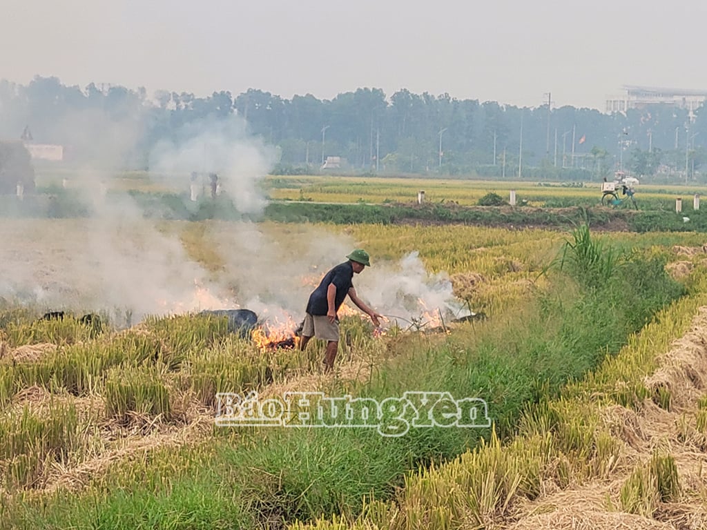Nông dân xã An Viên (Tiên Lữ) đốt rơm rạ trên thửa ruộng của mình