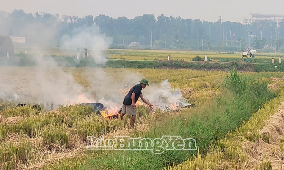 អត្ថប្រយោជន៍តិចតួច គ្រោះថ្នាក់ច្រើនពីការដុតចំបើង និងចំបើង
