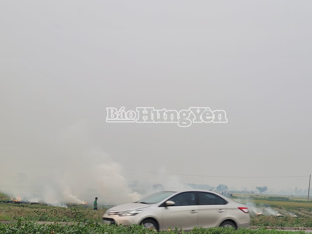 Rơm, rạ bị đốt bừa bãi, khói trắng phủ khắp cánh đồng và tuyến đường trục phía Bắc khu đại họcPhố Hiến