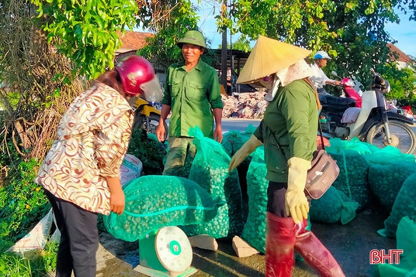 bqbht_br_nguoi-dan-nhon-nhip-nhap-oc-buou-vang-cho-thuong-lai.jpg