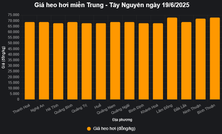 គំនូសតាង (1)