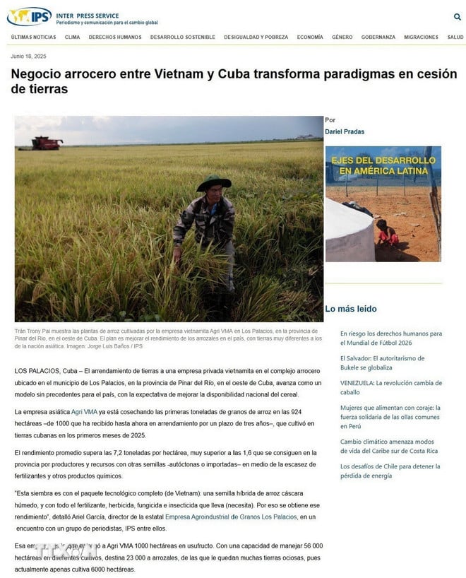 ttxvn-bao-chi-quoc-te-hop-tac-viet-nam-cuba-tao-buoc-dot-pha-trong-san-xuat-lua-gao.jpg