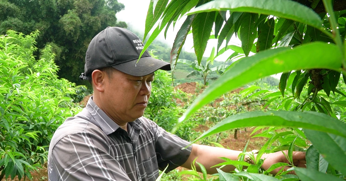 Turn barren land into billion dollar garden
