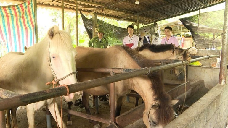 t5-nho-nguon-von-vay-uu-dai-cua-nhcsxh-huyen-tiep-suc-gia-dinh-anh-duong-van-truyen-thon-nam-may-xa-boc-bo-co-them-dieu-kien-de-phat-trien-kinh-te-ho.jpg