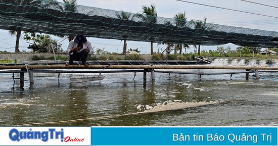 ការស្តារផលិតកម្មវារីវប្បកម្ម បន្ទាប់ពីទឹកជំនន់
