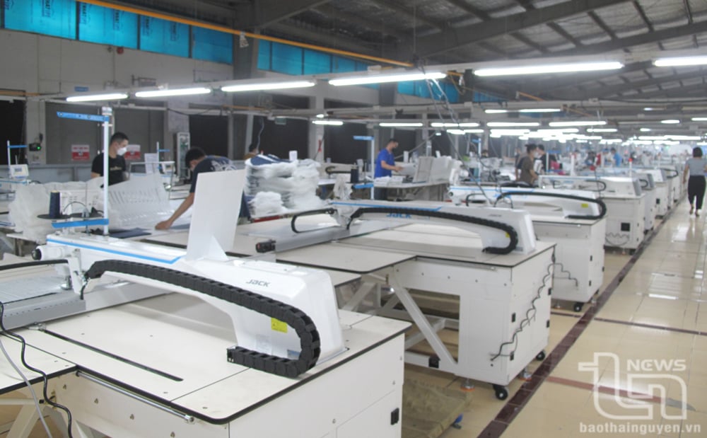 Muchas etapas de producción están automatizadas por la fábrica de prendas de vestir Song Cong 3.