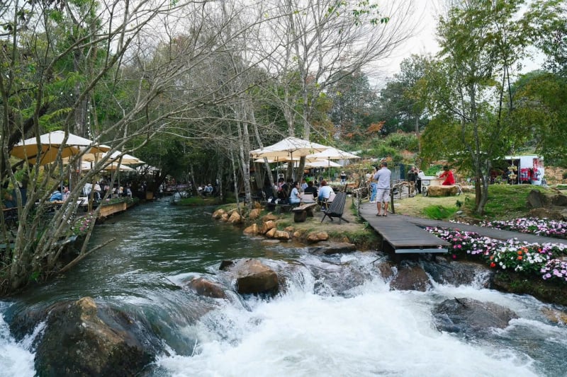 កន្លែងឆែកឆេរក្តៅបំផុតទាំង 8 នៅ Da Lat រដូវក្តៅ 2025 -0