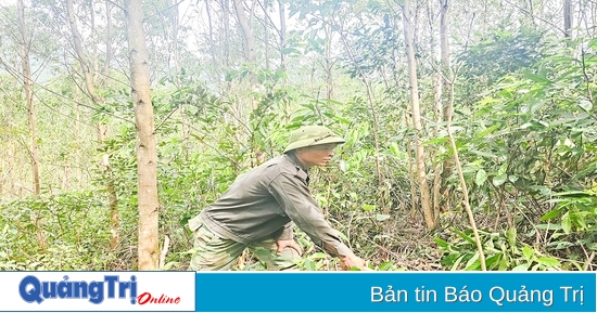 Phát triển kinh tế từ chăn nuôi và trồng rừng