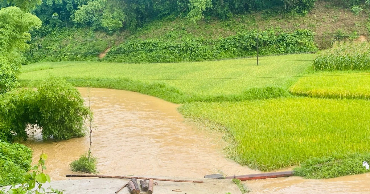 ភ្លៀង​ធ្លាក់​ខ្លាំង​បណ្តាល​ឱ្យ​បាក់​ដី​ប៉ះពាល់​ប្រជាពលរដ្ឋ​៥៧​គ្រួសារ​នៅ​ស្រុក​បាកាន