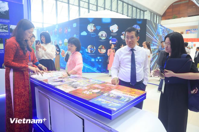 vnp-hoi-bao-14.jpg