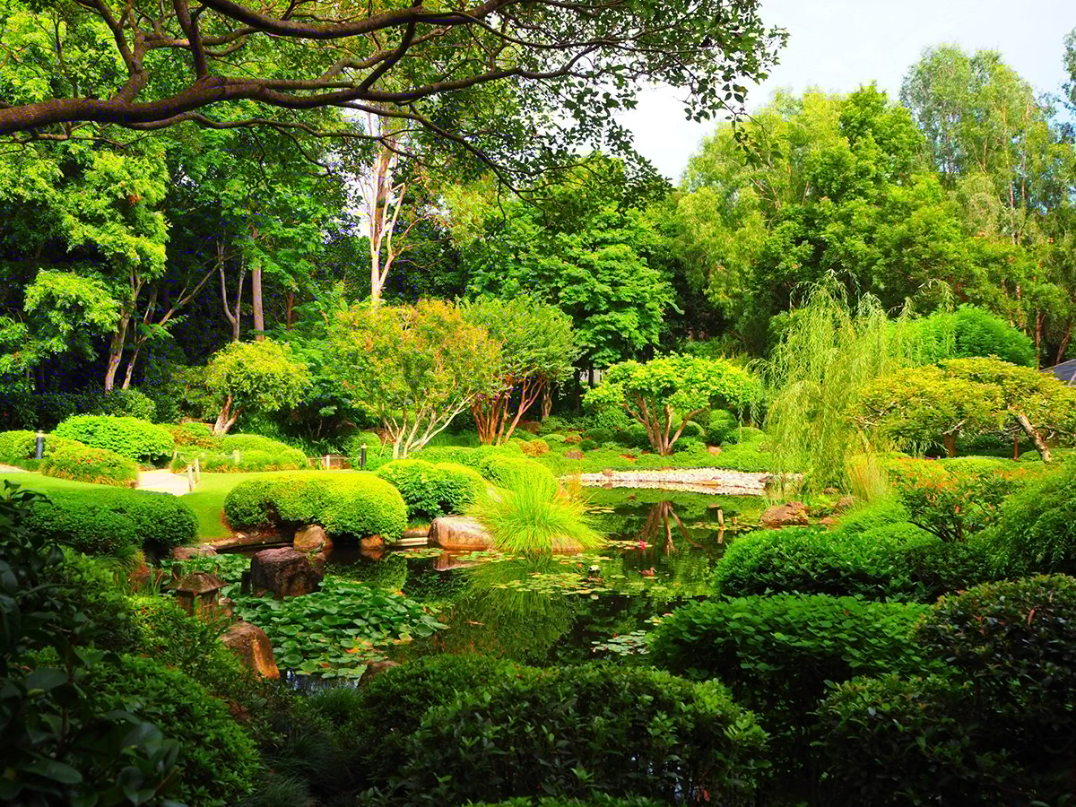 4 trải nghiệm nhất định phải thử nếu bạn chỉ có một ngày ở Brisbane- Ảnh 1.