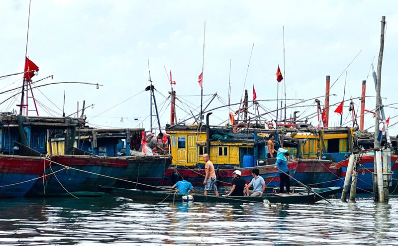 Hoạt động khai thác thủy sản của ngư dân các xã biển trên địa bàn TP. Đồng Hới được đẩy mạnh, ngư trường được mở rộng.