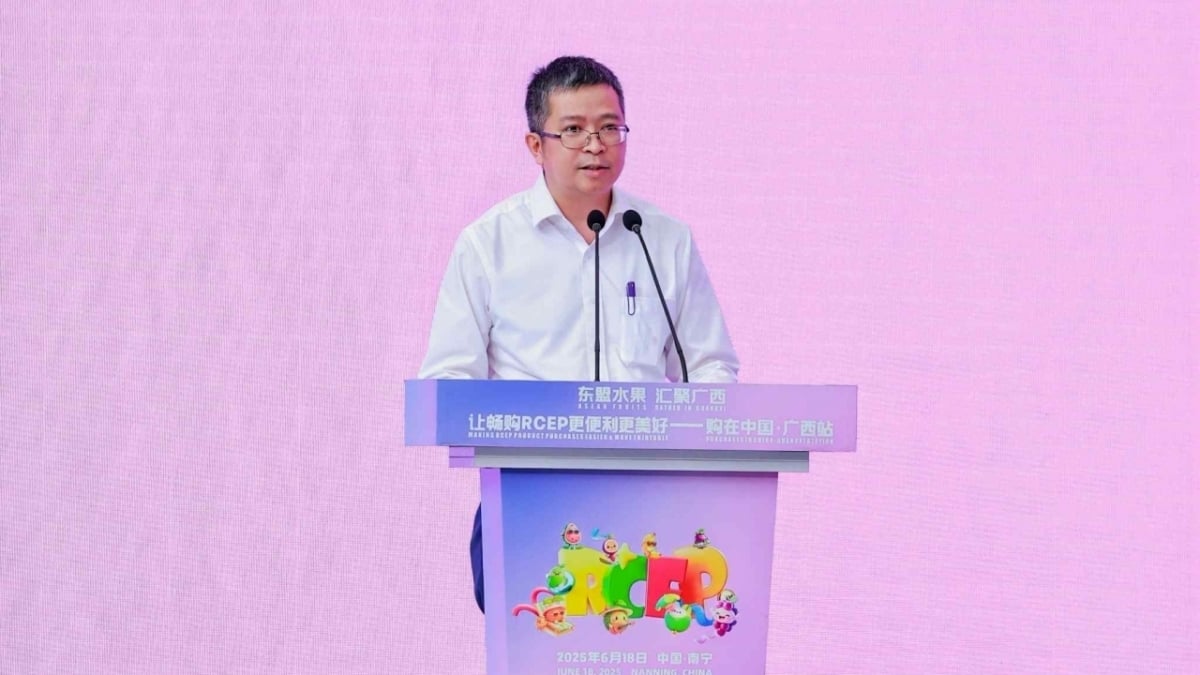 Sôi động ngoại giao kinh tế Việt Nam-Trung Quốc trong 6 tháng đầu năm 2025
