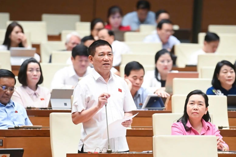 Phó Thủ tướng Hồ Đức Phớc: Nên áp dụng thuế khoán đối với hộ kinh doanh, buôn bán nhỏ, doanh thu dưới 1 tỷ đồng- Ảnh 5.