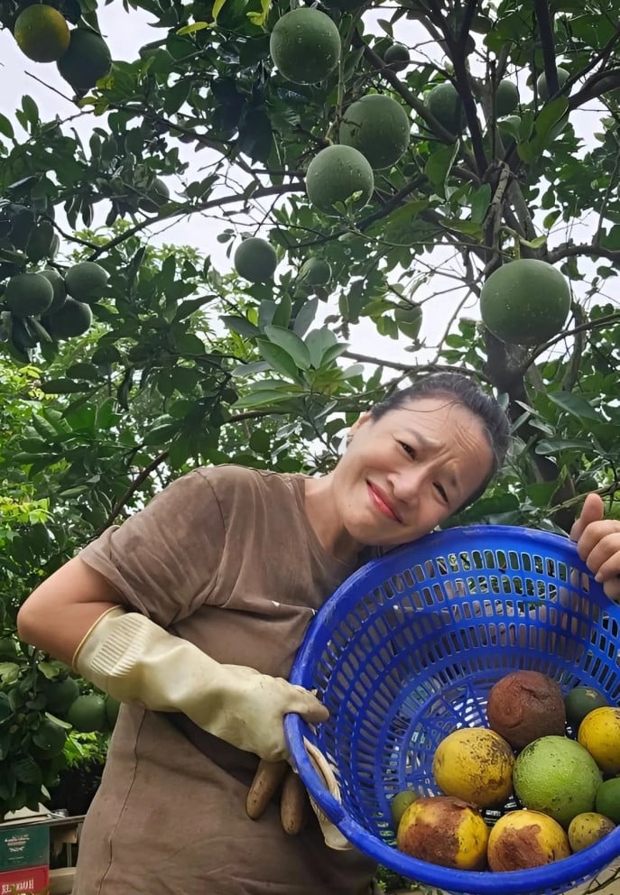 batch_tu oanh 2 jpeg 1750172278 2160 1750172372.jpg