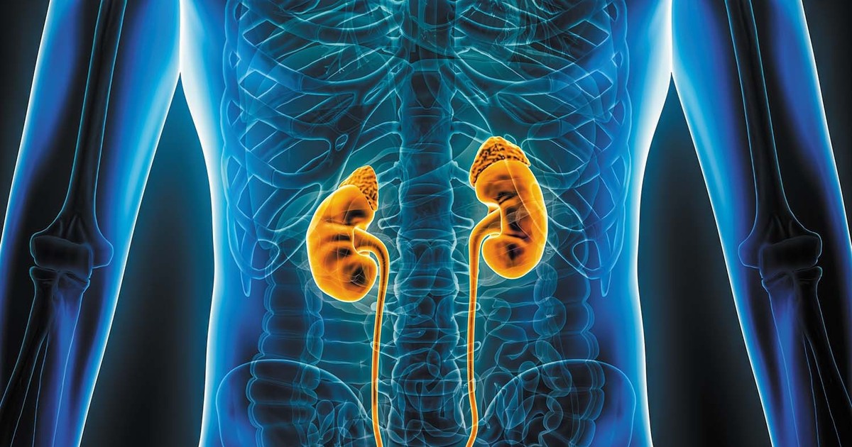 COVID-19 vaccine reduces risk of severe kidney damage