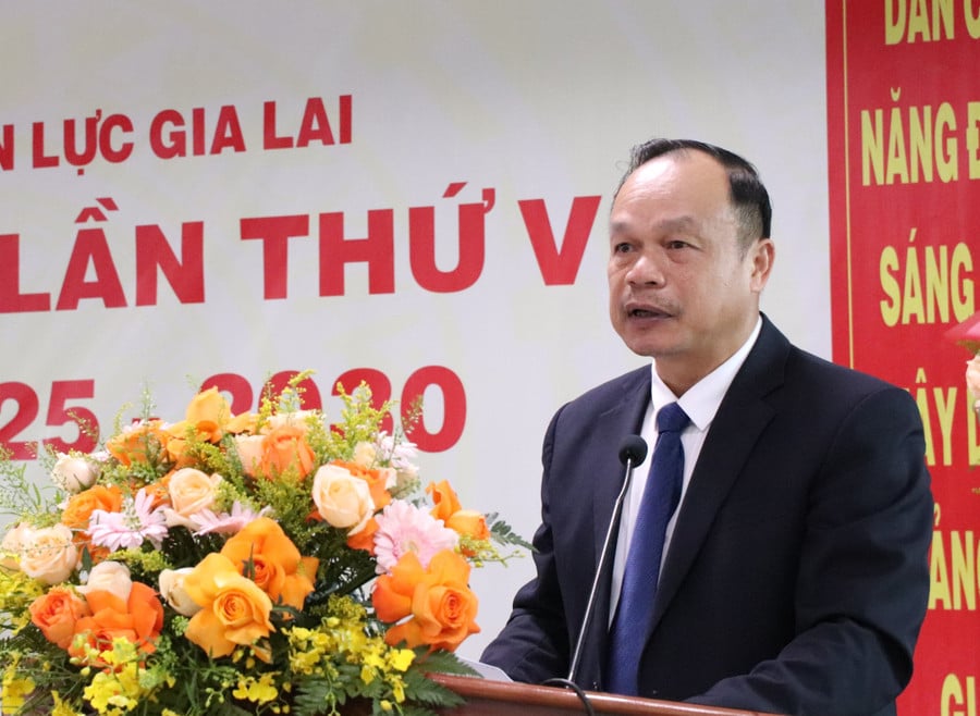pho-chu-tich-ubnd-tinh-duong-mah-tiep-ghi-nhan-bieu-duong-nhung-ket-qua-dang-bo-cong-ty-dien-luc-gia-lai-da-dat-duoc-anh-ha-duy.jpg
