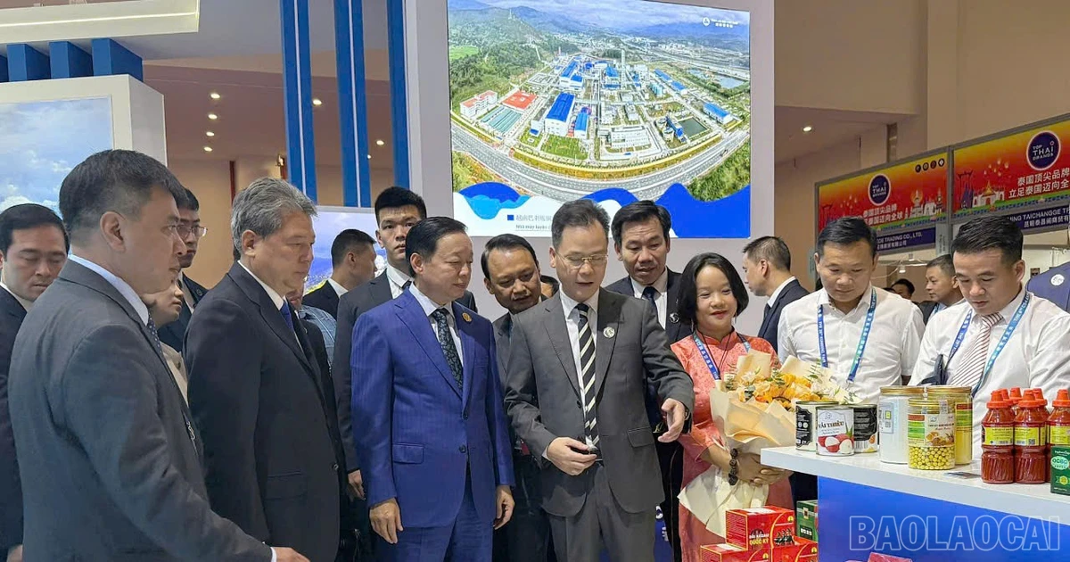 Quảng bá hình ảnh Lào Cai và mở rộng giao thương cho doanh nghiệp tại Hội chợ triển lãm Trung Quốc - Nam Á