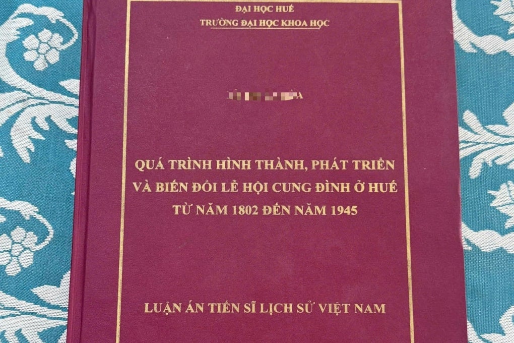 Đã báo cáo Bộ GDĐT kết quả đánh giá lại luận án tiến sĩ bị tố đạo văn - 1