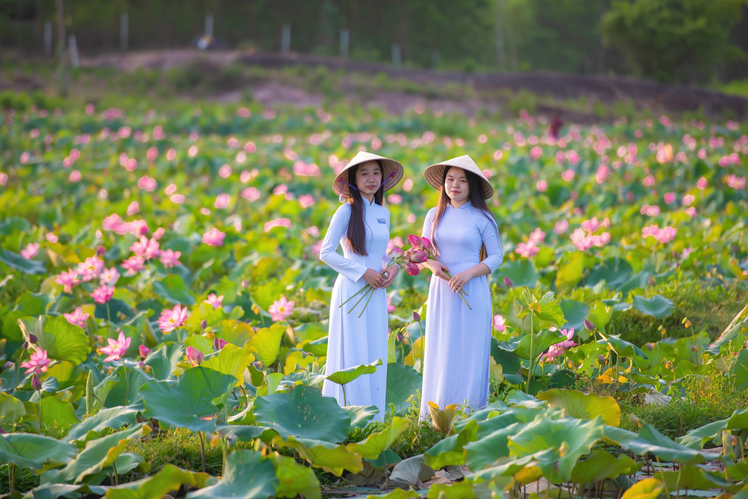 Chiêm ngưỡng cảnh đẹp đầy mê hoặc của đầm sen Trà Lý- Ảnh 6.