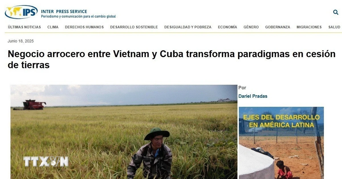 International media highlights unique Vietnam-Cuba cooperation model on rice
