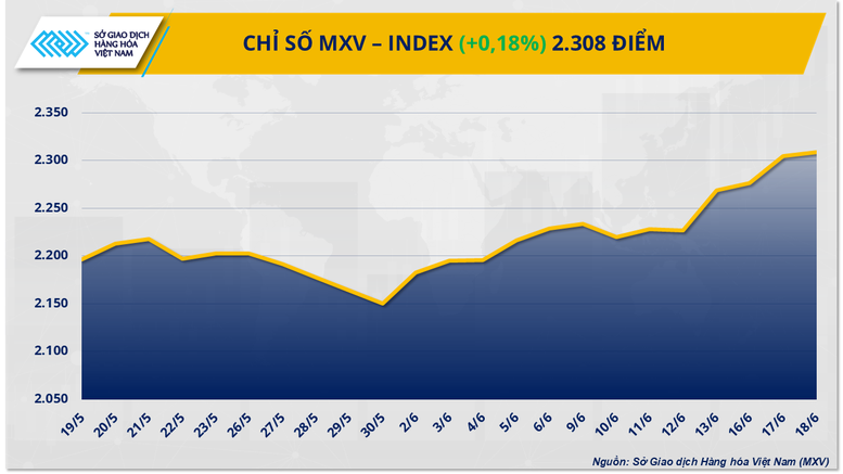 Giá dầu thô cao nhất kể từ đầu năm, giá cà phê Robusta lao dốc 6%- Ảnh 1.