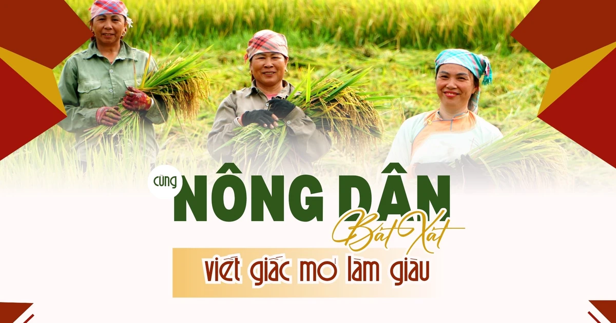 Cùng nông dân Bát Xát làm giàu