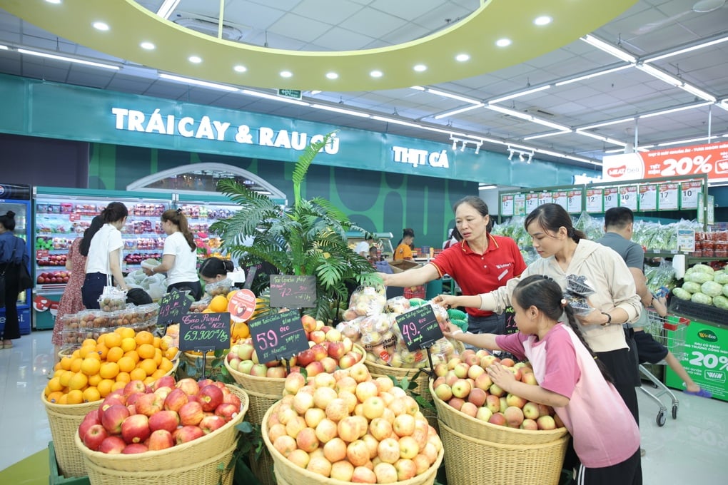 គំរូ 