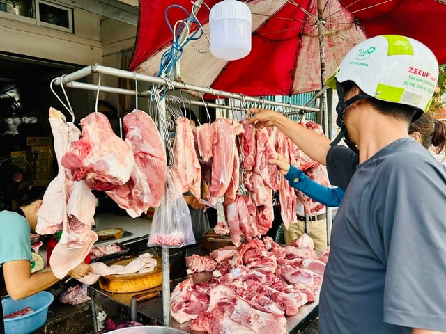 Giá heo hơi hôm nay 19.6.2025: Ngừng rơi - Ảnh 1.