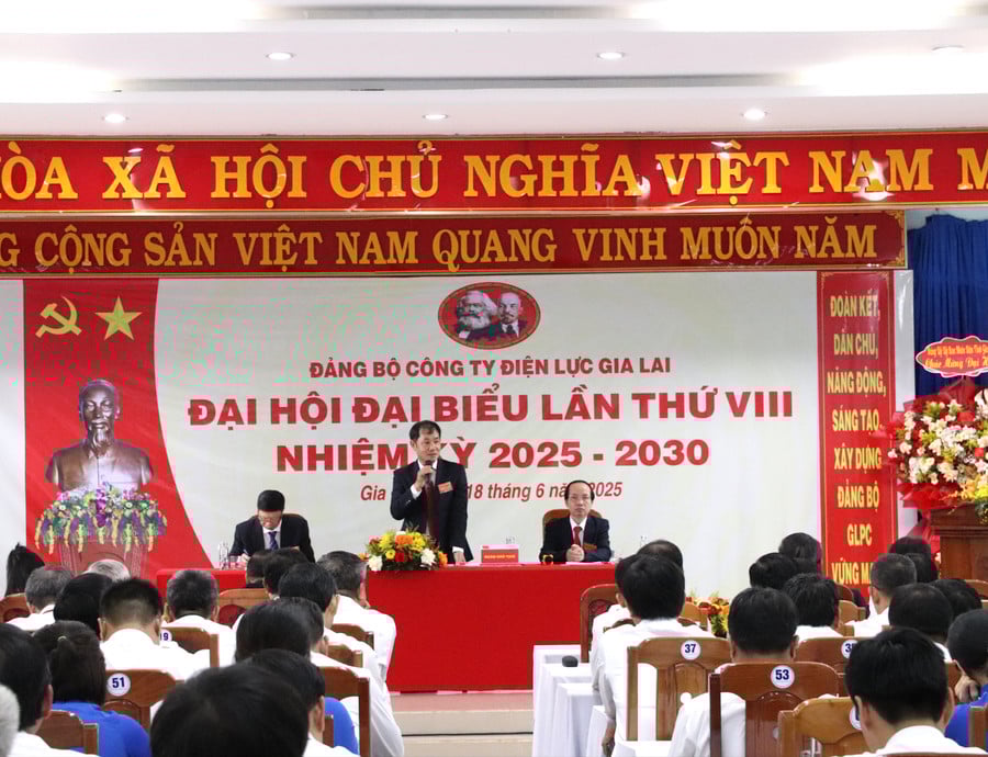 quang-canh-dai-hoi-anh-hd-5671.jpg