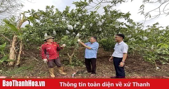 Phát huy vai trò của MTTQ trong xây dựng nông thôn mới