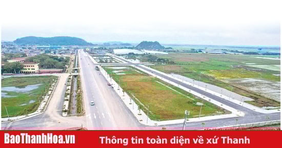 Đất đấu giá tăng cao: Nhu cầu thị trường hay “cò” thổi giá”?