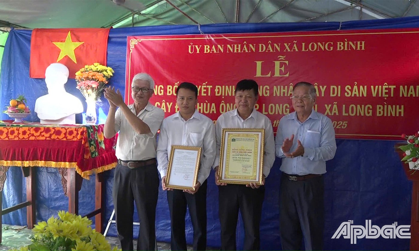 Quyết định của Hội Bảo vệ Thiên nhiên và Môi trường Việt Nam công nhận cây Đa tại chùa Ông, ấp Long Thới, xã Long Bình huyện Gò Công Tây 