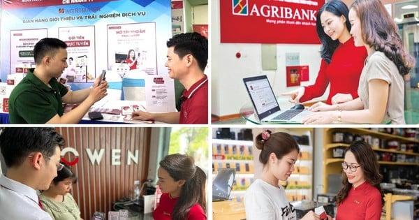 Từ nông thôn đến thành thị: Hành trình số hóa bền vững của Agribank