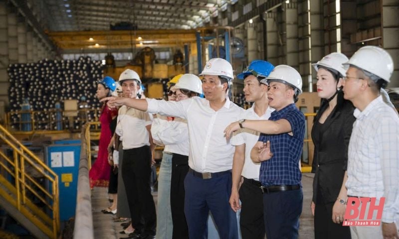 วิสาหกิจเมืองThanh Hoa เชื่อมโยงการค้าและเรียนรู้จากโมเดลการพัฒนาเขตอุตสาหกรรมสีเขียวในไฮฟอง