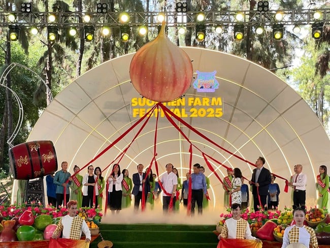 Lễ hội Trái cây Nam bộ năm 2025: Điểm đến đặc biệt tại TP.HCM dịp hè - Ảnh 1.