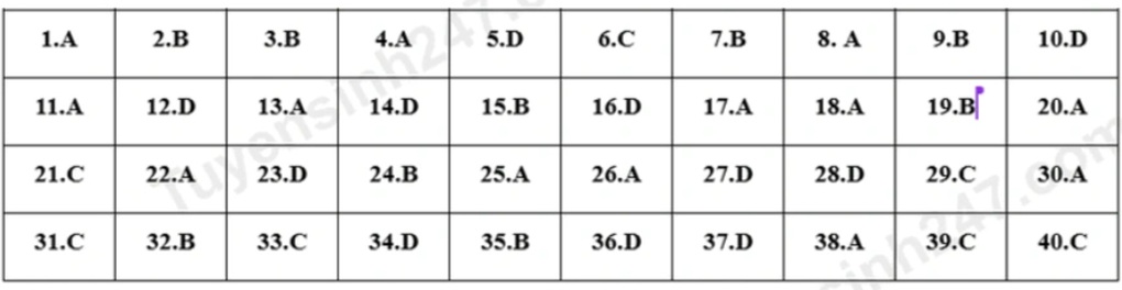 Đề thi và đáp án môn tiếng Anh vào lớp 10 tỉnh Tuyên Quang năm 2025 - 4