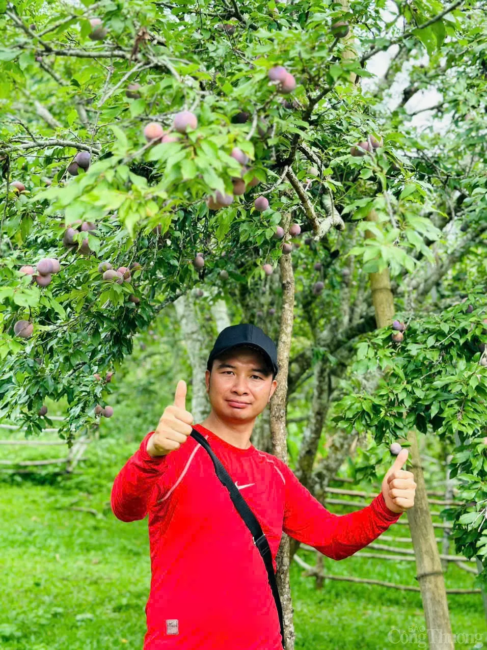 'Làm du lịch bằng trái tim' - hành trình lan tỏa OCOP của chàng trai Tủa Chùa
