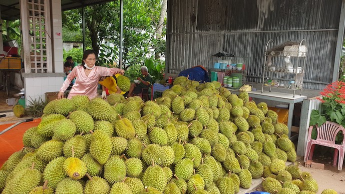 Se estima que, en los primeros cuatro meses de 2025, el volumen de importación y exportación de productos agrícolas, forestales y pesqueros entre Vietnam y China alcanzará los 5.070 millones de dólares. Foto: Nguyen Viet