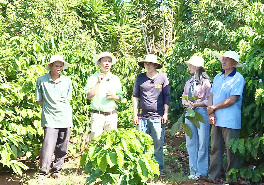 cong-ty-vfc-gop-phan-quan-trong-vao-qua-trinh-chuyen-doi-nen-nong-nghiep-cua-tinh-gia-lai-theo-huong-thong-minh-an-toan-va-ben-vung.jpg