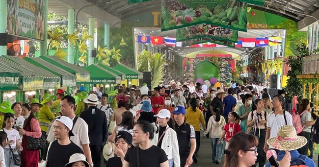 Lễ hội Trái cây Nam bộ năm 2025: Điểm đến đặc biệt tại TP.HCM dịp hè - Ảnh 2.